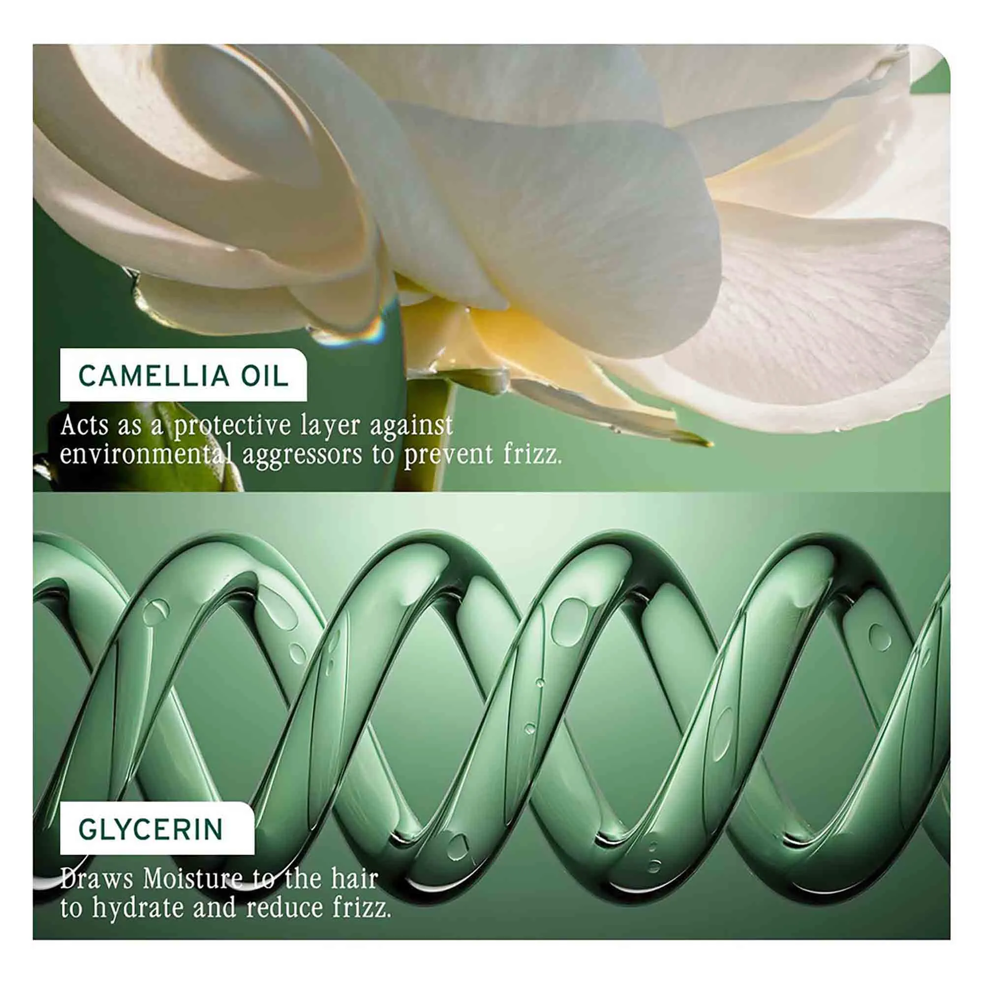 Biolage Smoothproof Conditioner - Image 5