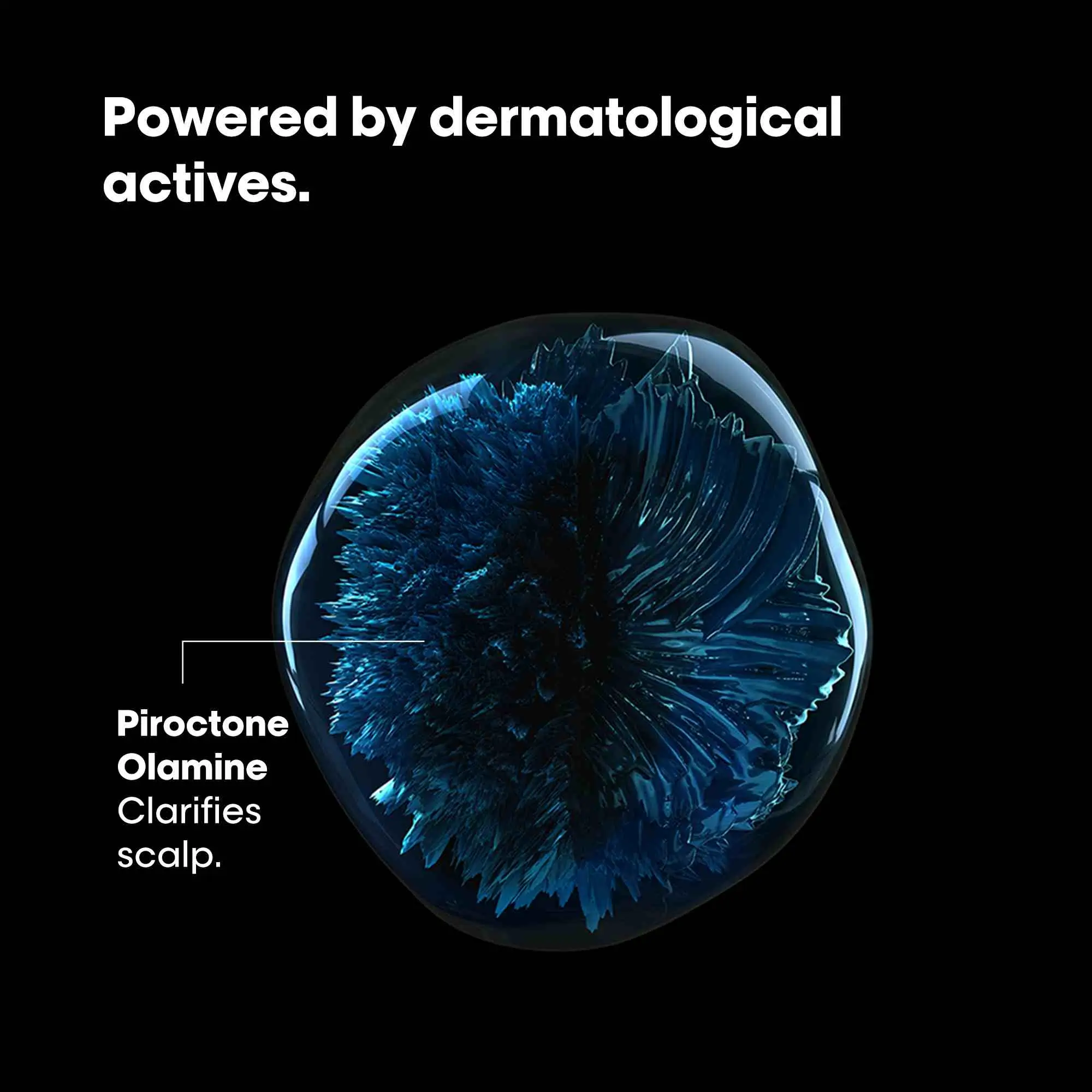 loreal scalp advance shampoo