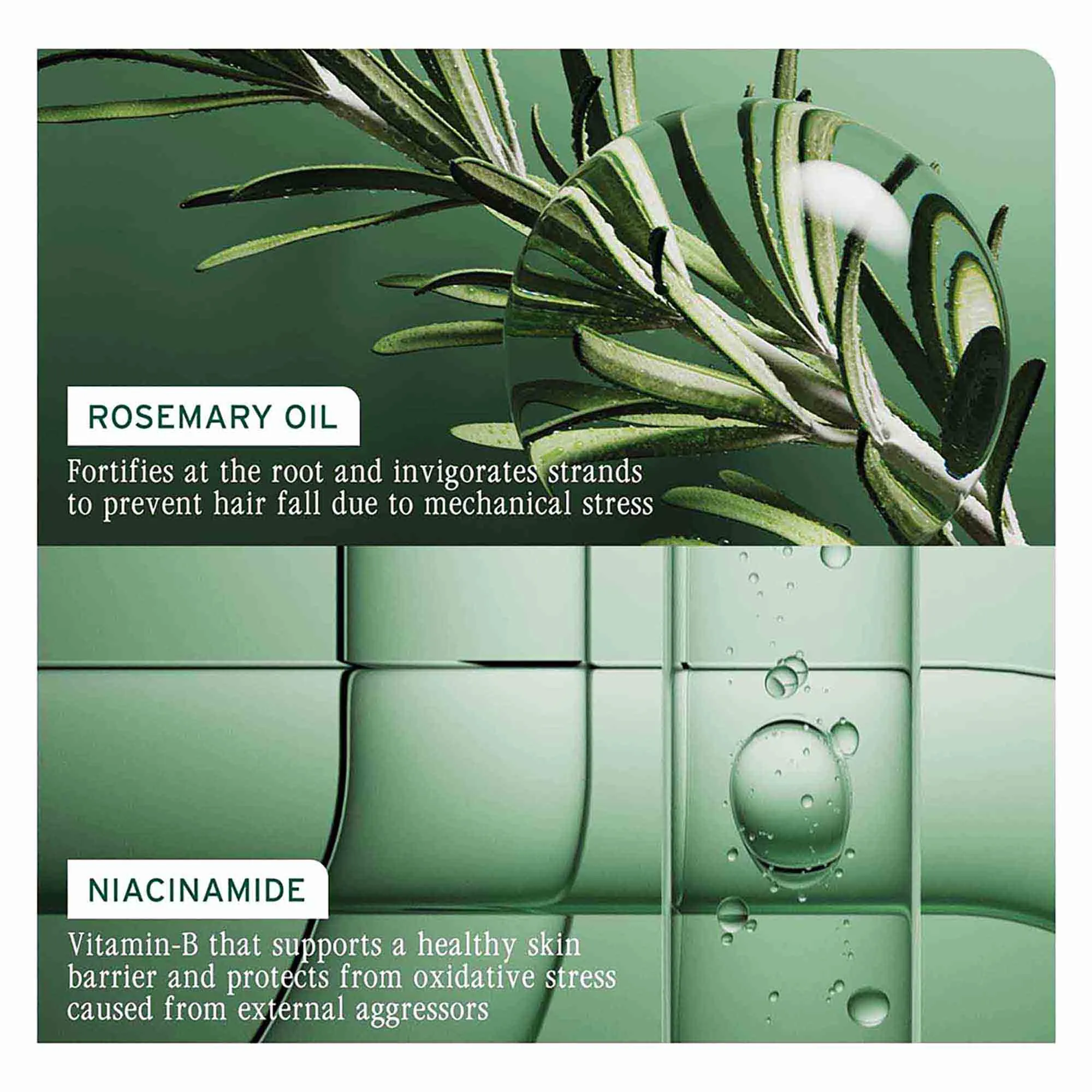 Biolage Full Rescue Shampoo - Image 3